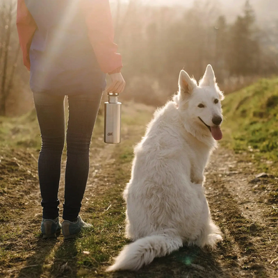 Person steht mit einer Esbit® Trinkflasche Sculptor 1000 ml Edelstahl-Wasserflasche neben einem weißen Hund auf einem Feldweg in einem sonnenbeschienenen Bereich.